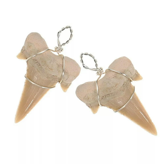 HOOUN 2pcs Shark Tooth Charm Necklaces Making Charms Decorative Pendants
