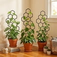 thumbnail image 3 of Enrejado para plantas trepadoras, enrejado de jardín inoxidable, soporte decorativo para plantas en maceta, enrejado para Monstera, hiedra, pothos y enredadera., 3 of 7