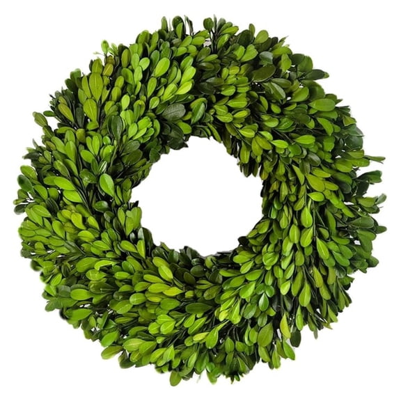 Preserved Boxwood Wreath 12 in by