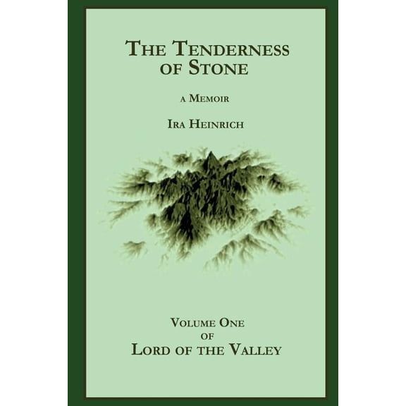 The Tenderness of Stone (Paperback)