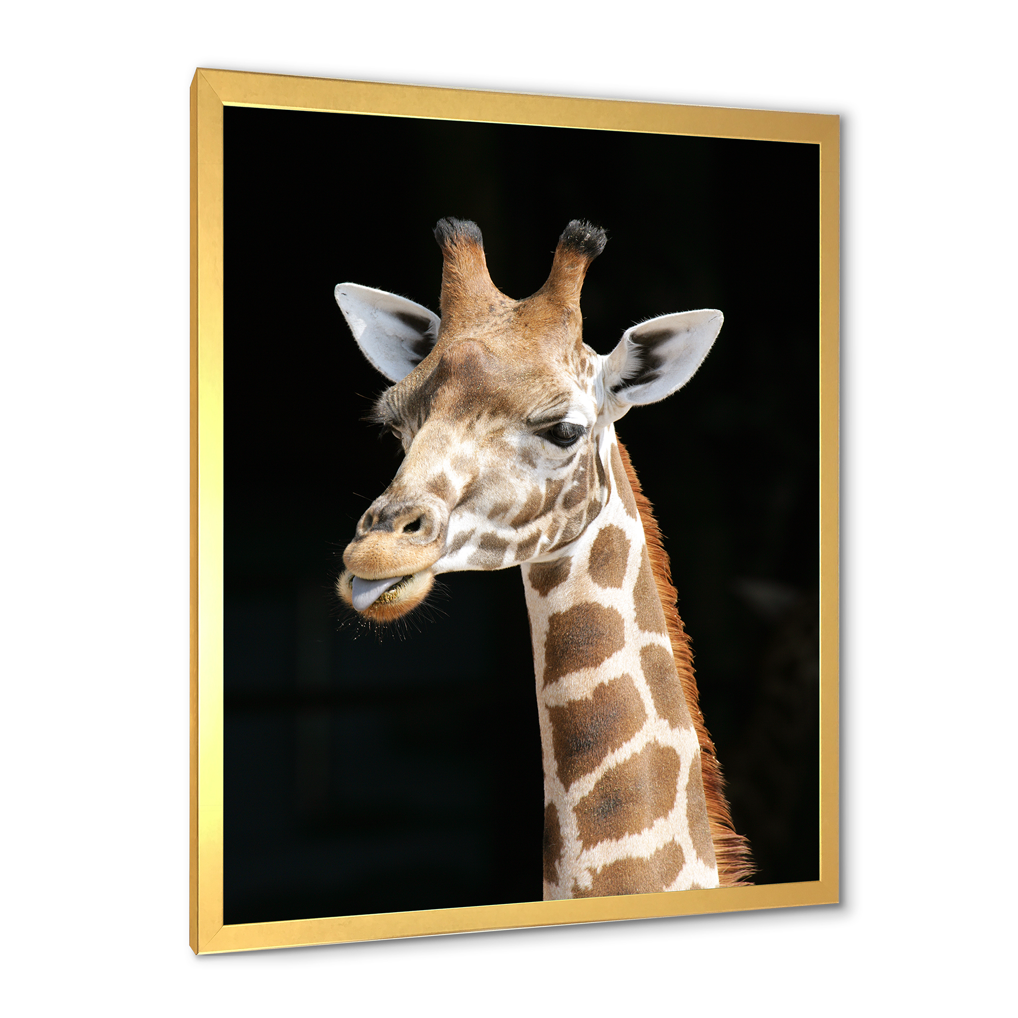 Designart 'Close Up Portrait Of A Giraffe On Black III' Farmhouse Framed Art Print