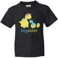 thumbnail image 3 of Inktastic Big Dinosaur Sister Youth T-Shirt, 3 of 5