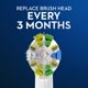 thumbnail image 5 of Oral-B FlossAction Electric Toothbrush Replacement Brush Heads Refill (2 count), 5 of 7