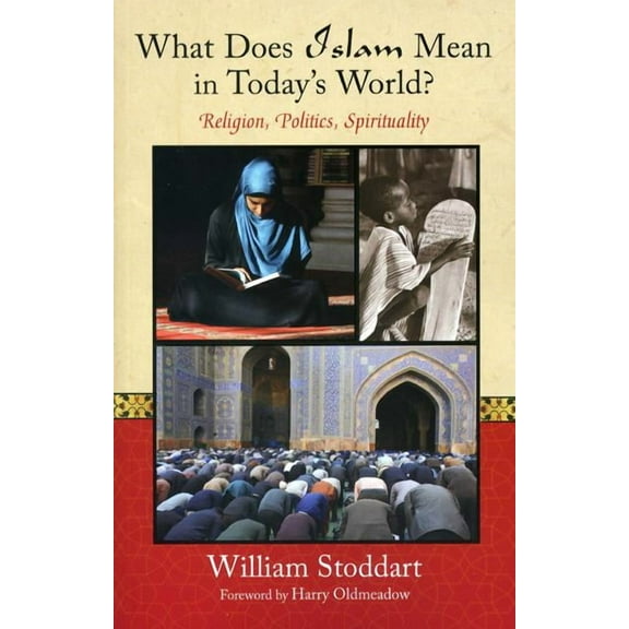 What Does Islam Mean in Today's World? : Religion, Politics, Spirituality (Paperback)