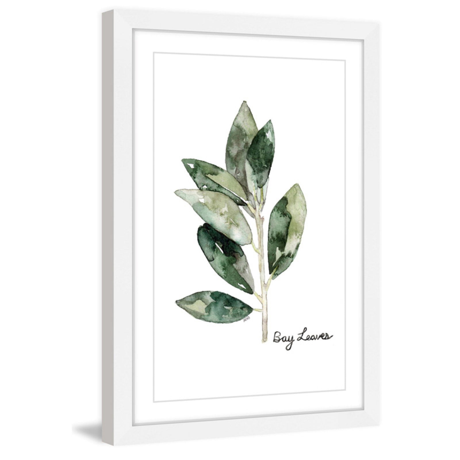 Marmont Hill "Herb Bay Leaves" by Rachel Byler Framed Painting Print
