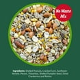 Lyric Woodpecker Wild Bird Seed No Waste Bird Seed with Nuts, Dried