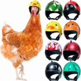 thumbnail image 1 of 12 Pcs Chicken Helmet Chicken Bird Toy Funny Pet Safety Helmet Head Protection Costumes Accessories For Chicken Bird, 1 of 1