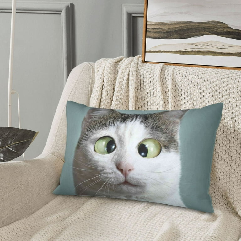 Junzan Funny Cat Pillow Cases Standard Size with Envelope Closure Bed Pillow Cases 16 X24