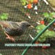 thumbnail image 5 of Red antiaves, red de jardín que no se enreda, valla reutilizable para proteger frutas y verduras de pájaros, ciervos. Ormromra 2034074-1, 5 of 8