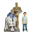 thumbnail image 3 of Advanced Graphics R2-D2 & C-3PO Life Size Cardboard Cutout Standup - Star Wars Classics (IV - VI), 3 of 5