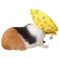 thumbnail image 4 of Collier de Protection pour Chien, Collier Cône de Guérison, Protection Intelligente pour Petits Animaux Écureuil Cochon d'Inde Rat, Jaune, S, 4 of 5