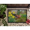 thumbnail image 3 of Carolines Treasures ASA2176JMAT Tapis Intérieur Ou Extérieur Jay&44; 24 x 36, 3 of 4