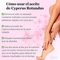 thumbnail image 4 of Yanonmyfd Natural Cyperus Rotundus Oil, Sin irritación Aceite Depilatorio Natural para Mujeres y Hombres - Tratamiento para Piernas, Brazos y Axilas - Suaviza la Piel y Reduce el Rebrote (2, 60ml),3, 4 of 16