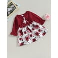 thumbnail image 3 of Bagilaanoe Toddler Baby Girl Fall Dress Floral Print Long Sleeve A-line Dresses 6M 9M 12M 18M 24M 3T Kid Fall Patchwork Skirt, 3 of 7