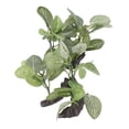 thumbnail image 4 of Fish  Artificial Plants, High Simulation Aquarium Plants Decorations Natural  For Fish, 4 of 8