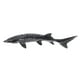 thumbnail image 1 of Simulento Sturgeon Pescado modelo niños simulación marino animal modelo falso esturión juguete, 1 of 6