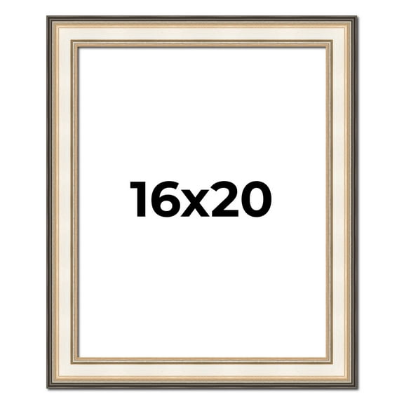 16x20 Frame Gold Silver Plein Aire 2" Inch Wide Moulding Solid Wood Picture Frame | Modena