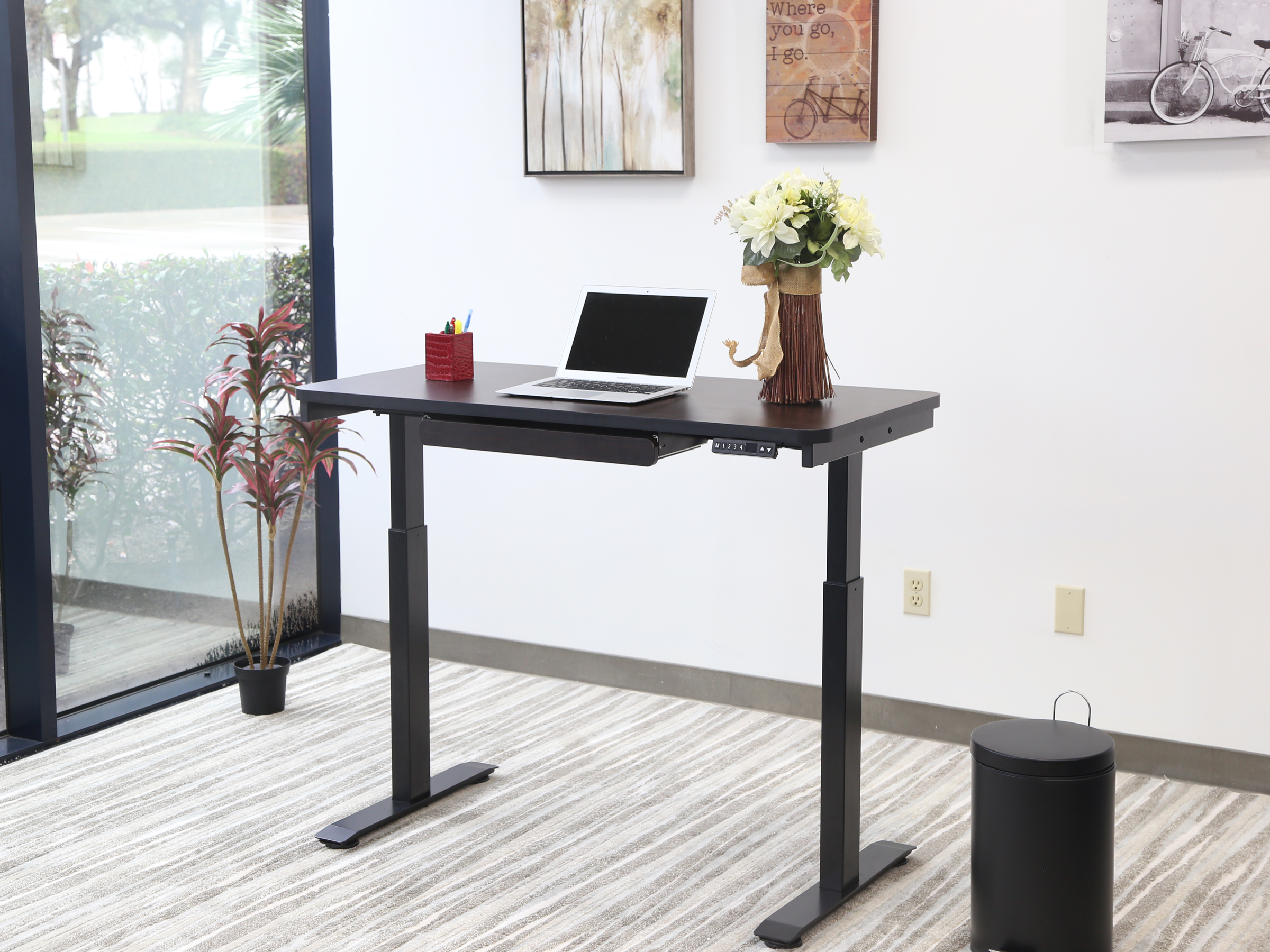 Motionwise SDG48A Electric Standing Desk 24 x48 Home Office Series 28 
