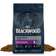 Blackwood Large Breed Whitefish Meal with Ancient Grains Dry Dog Food, 10 lb Bag