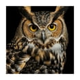 thumbnail image 4 of WYYP Owl Square Tablecloth 100% Polyester Fiber 46*46, 4 of 8