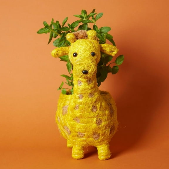 Giraffe Coir Succulent Planter