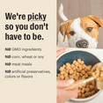 thumbnail image 5 of The Honest Kitchen Human Grade Dry Dog FoodWhole Food Clusters Puppy Whole Grain Chicken Dry Dog Food, 4 lb Bag, 5 of 9