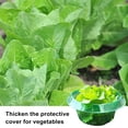 thumbnail image 4 of Guiexla 1/5/15Pcs Transparent Garden Cloches Planter Slug Collar Plant Protectors Weather-Resistant Reusable Snail Defense Plant Cover Protectors, 4 of 7