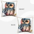 thumbnail image 3 of ZNDUO Throw Pillow, 20"x20" Bed Pillow and Couch Pillows - Indoor Decorative Pillows，Cute Owl Throw Pillow, 3 of 8