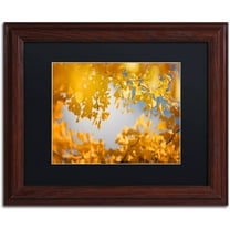 Trademark Fine Art "Ginkgophytes" Canvas Art by Philippe Sainte-Laudy Black Matte, Wood Frame