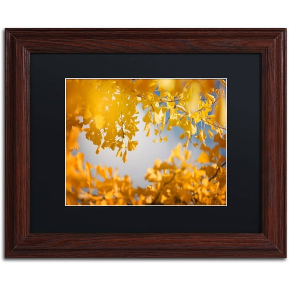 Trademark Fine Art "Ginkgophytes" Canvas Art by Philippe Sainte-Laudy Black Matte, Wood Frame
