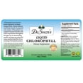 thumbnail image 2 of (Pack Of 4) Desouzas Chlorophyll Liquid 16 Fl Oz, 2 of 2
