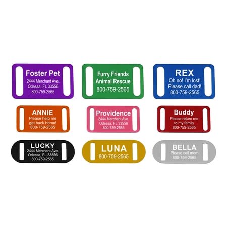 Slide-On Pet Id Tag | Collar Tag | 3 Sizes & 9 Colors To Choose From (Gold Medium)