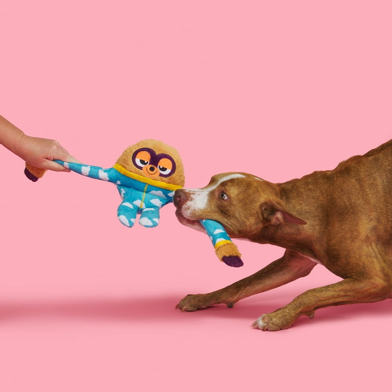 Barkbox sloth hotsell
