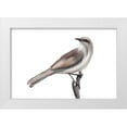 thumbnail image 1 of Murdock, Ramona 24x17 White Modern Wood Framed Museum Art Print Titled - Bird V, 1 of 4