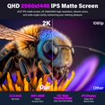 thumbnail image 4 of Monitor portátil InnoView de 23,8" 2K QHD IPS de 180 Hz, 4 of 9