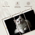 thumbnail image 6 of Elephant Stock White Persian Cat Wall Art - Horizontal Multi Panel Canvas - Living Room Wall Decor - Animal Multi Panel - Black And Gray Decor - 33" x 20", 6 of 8