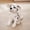 A, variant on qILAKOG Simulated Cute Puppy Toy Goodnight Children's Sleeping Doll, Dog Stuffed Animal, Birthday Gifts For Family Friend Children's Holiday Gifts