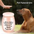 thumbnail image 4 of ZHOUBA Compact Pets Urn Easy Use Metal Sealed Waterproof Ashes Casket for Home, 4 of 5