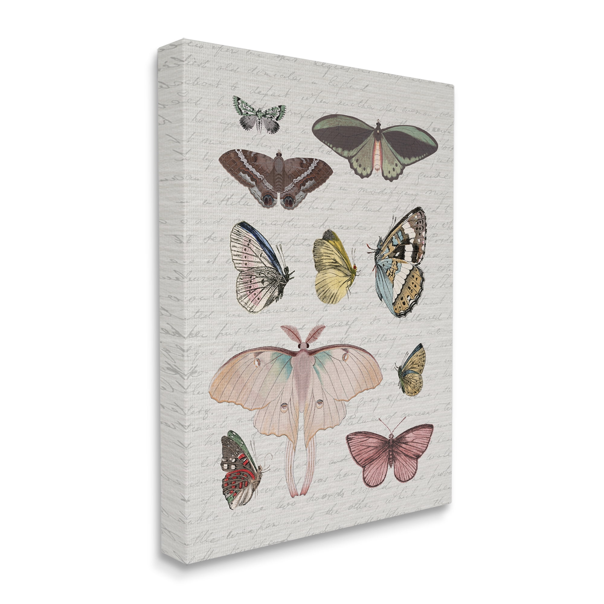 Stupell Industries Moths & Butterflies Vintage Animals & Insects Painting Gallery Wrapped Canvas Art Print Wall Art, 36 x 48