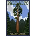 thumbnail image 2 of Art.com Palo Alto, California - California Redwoods Stretched Canvas Print Wall Art by Lantern Press, 12" x 18", 2 of 4