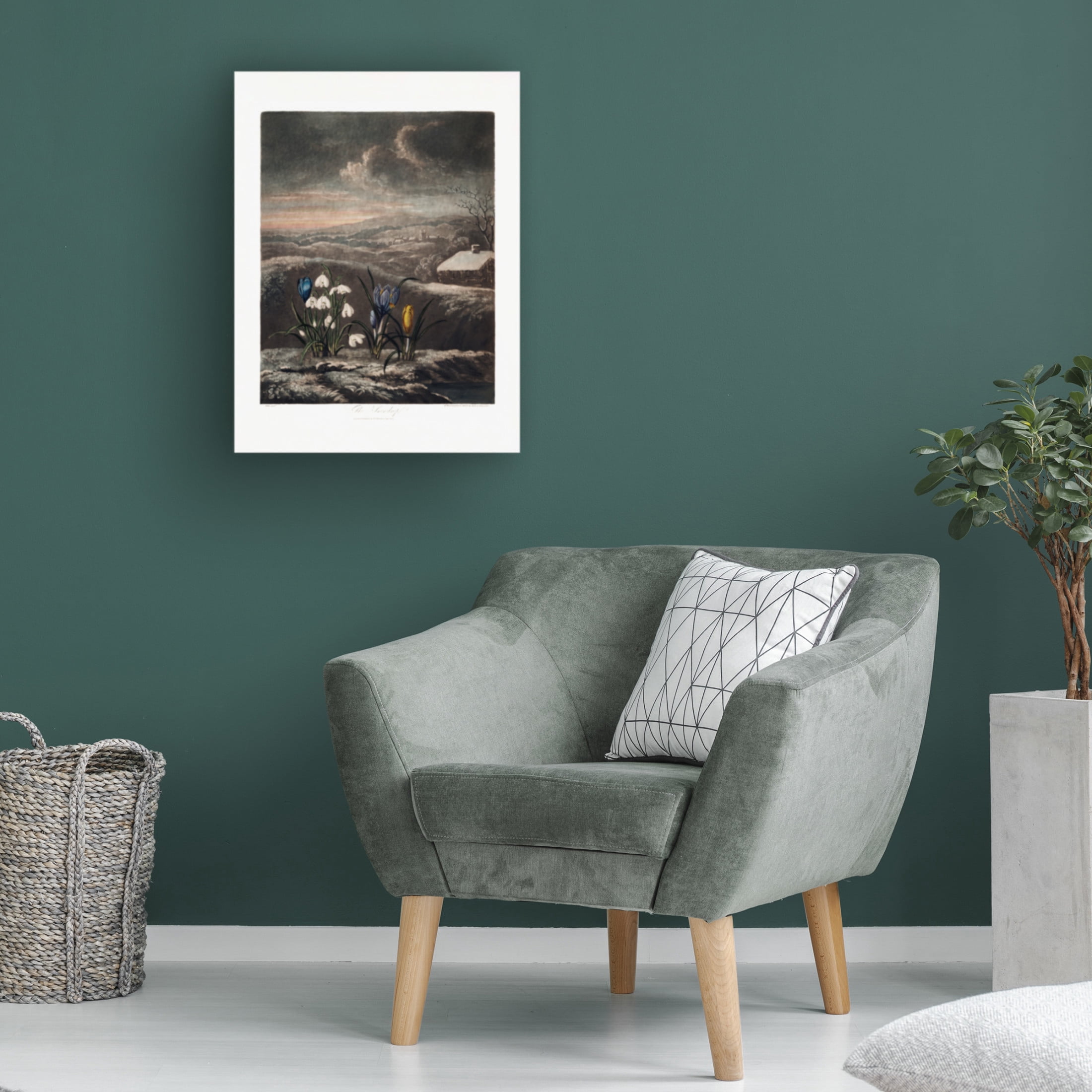 Trademark Fine Art Pictufy  The Snowdrops from The Temple of Flora 1807 Canvas Wall Art
