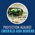 thumbnail image 3 of Pesticide BioAdvanced Tree & Shrub Protect concentrado de 3,8 litros, 3 of 7