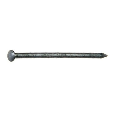 Grip-Rite 8D 2-1/2 in. Siding Hot-Dipped Galvanized Steel Nail Oval Head 5 lb