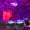 2 Packs Black, variant on Galaxy Star Projector Night Light, 10 Colors LED Ceiling Projector with Wireless Music, App & Remote Control, Timer, Starry Sky Mood Lighting for Bedroom, Party, Christmas Decor