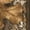 EDGE Camo, variant on Hardwoods Camo Hunting Hoodie Jacket - High Pile Pullover for Men and Women, L