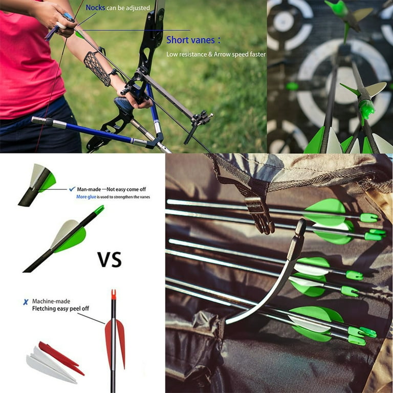 Compound arrows 2024