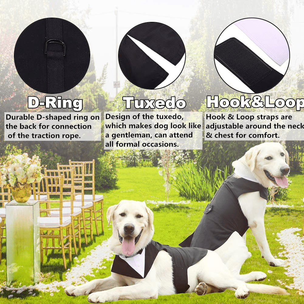 Large Dog Prom Dresses