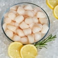 thumbnail image 6 of Wild Caught Patagonian Scallops, 80-120 Pieces (1lb Plastic Tray) Tree-Nut Free Sweet NO BRAND, 6 of 6