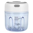 thumbnail image 1 of Portable Food Processor, iNova Electric Mini Garlic Chopper for Dicing, Ginger, Chili, Fruits, Onions Pepper and Baby Food 250ml, White, 1 of 7
