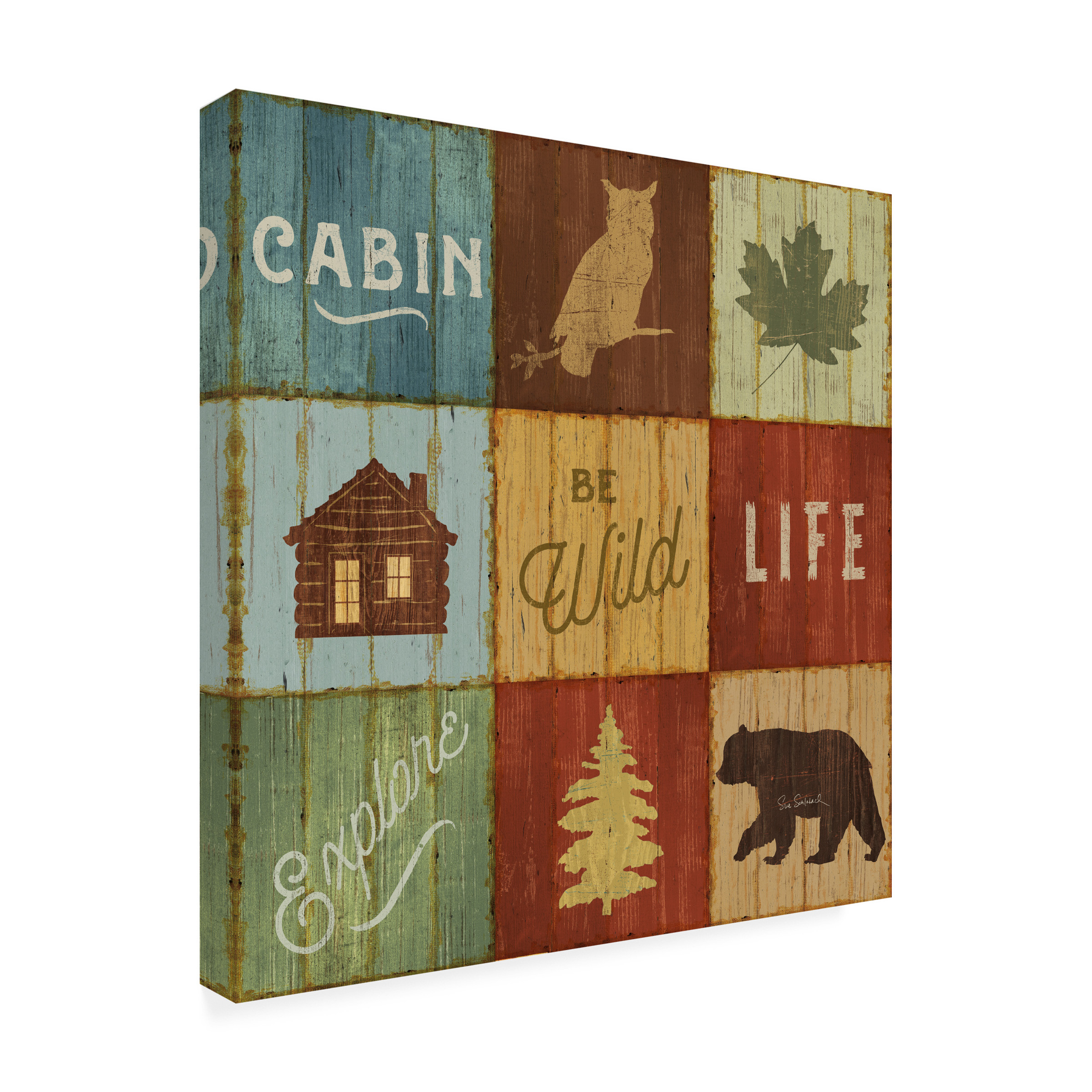 Trademark Fine Art 'Lake Lodge VIII' Canvas Art by Sue Schlabach